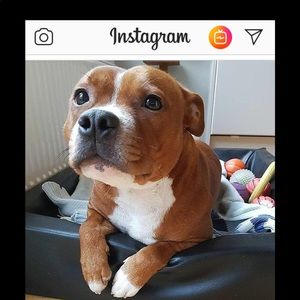 Meet your Posher, Chloe